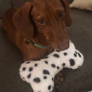 Meet your Posher, Giana